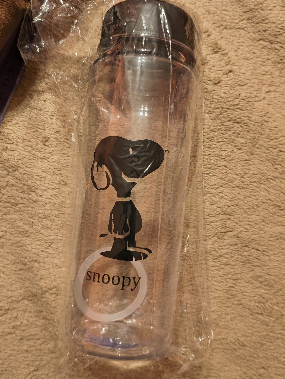 Clear Plastic Snoopy Water Bottle